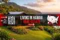 Living in Kailua, Hawaii 🌺 | Cost of 
