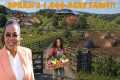 Inside Oprah Winfrey’s MASSIVE Maui