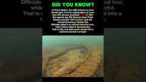 The Snorkel Trip That Angered America #history #facts