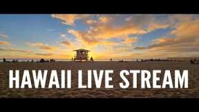 Hawaii Travel Videos LIVE! Coffee, Walk & Talk!