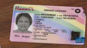‘Get used to it’: Honolulu mayor responds to backlash over new Hawaii license, ID design