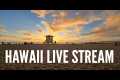 Hawaii Travel Videos LIVE! Coffee,