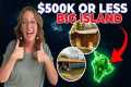 What Does $500K Get in BIG ISLAND HI