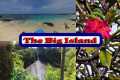 The Big Island Vacation 2025 vlog